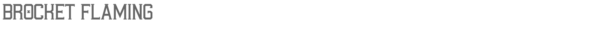 Sample characters Brocket Flaming Font